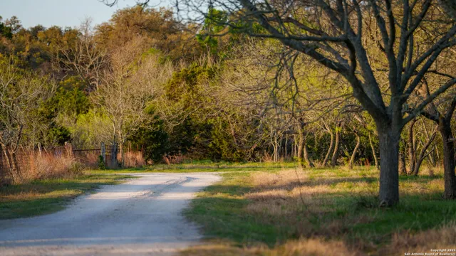a view of yard with trees