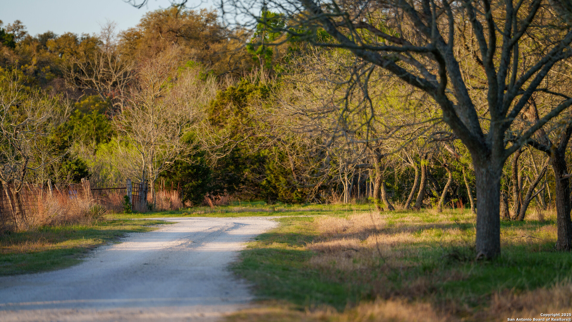 Tbd Lost Acres Loop Blanco, TX 78606 - Photo 25 of 39 a view of yard with trees
