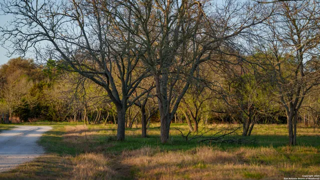 a view of lake with trees