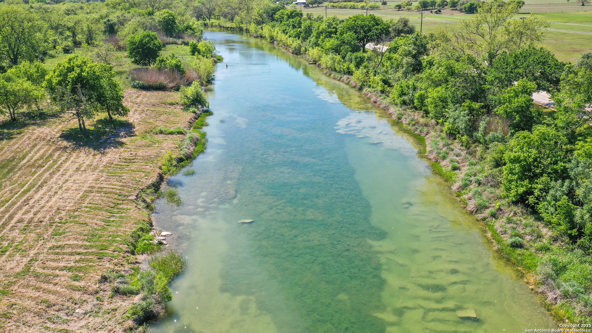 Tbd Lost Acres Loop Blanco, TX 78606 - Photo 29 of 39 a view of a yard with plants