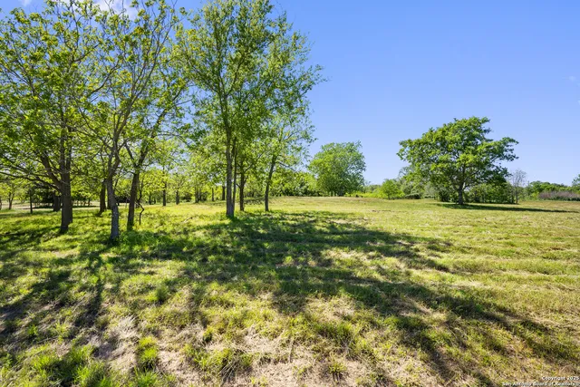 a view of outdoor space with trees all around