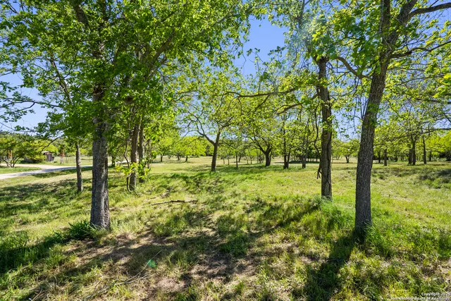 a view of outdoor space with a garden