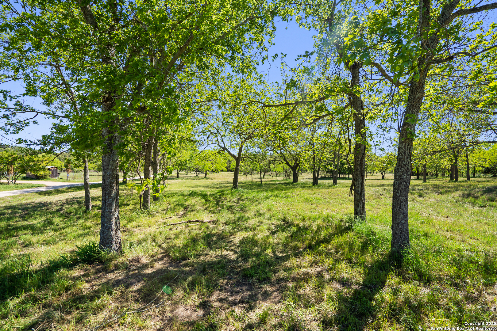 Tbd Lost Acres Loop Blanco, TX 78606 - Photo 39 of 39 a view of outdoor space with a garden