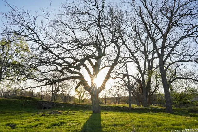 a view of backyard with green space