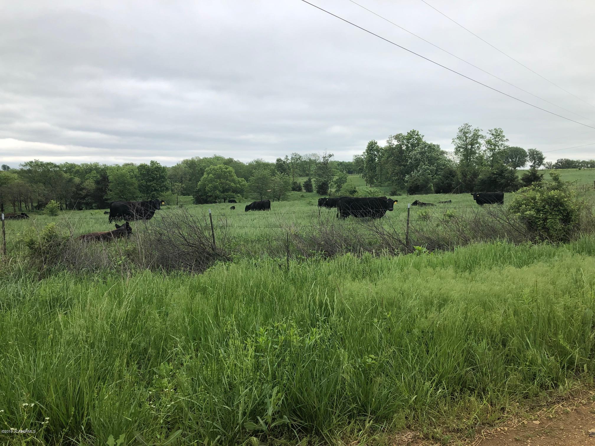 Tbd Union Ford Road California, MO 65018 - Photo 2 of 13