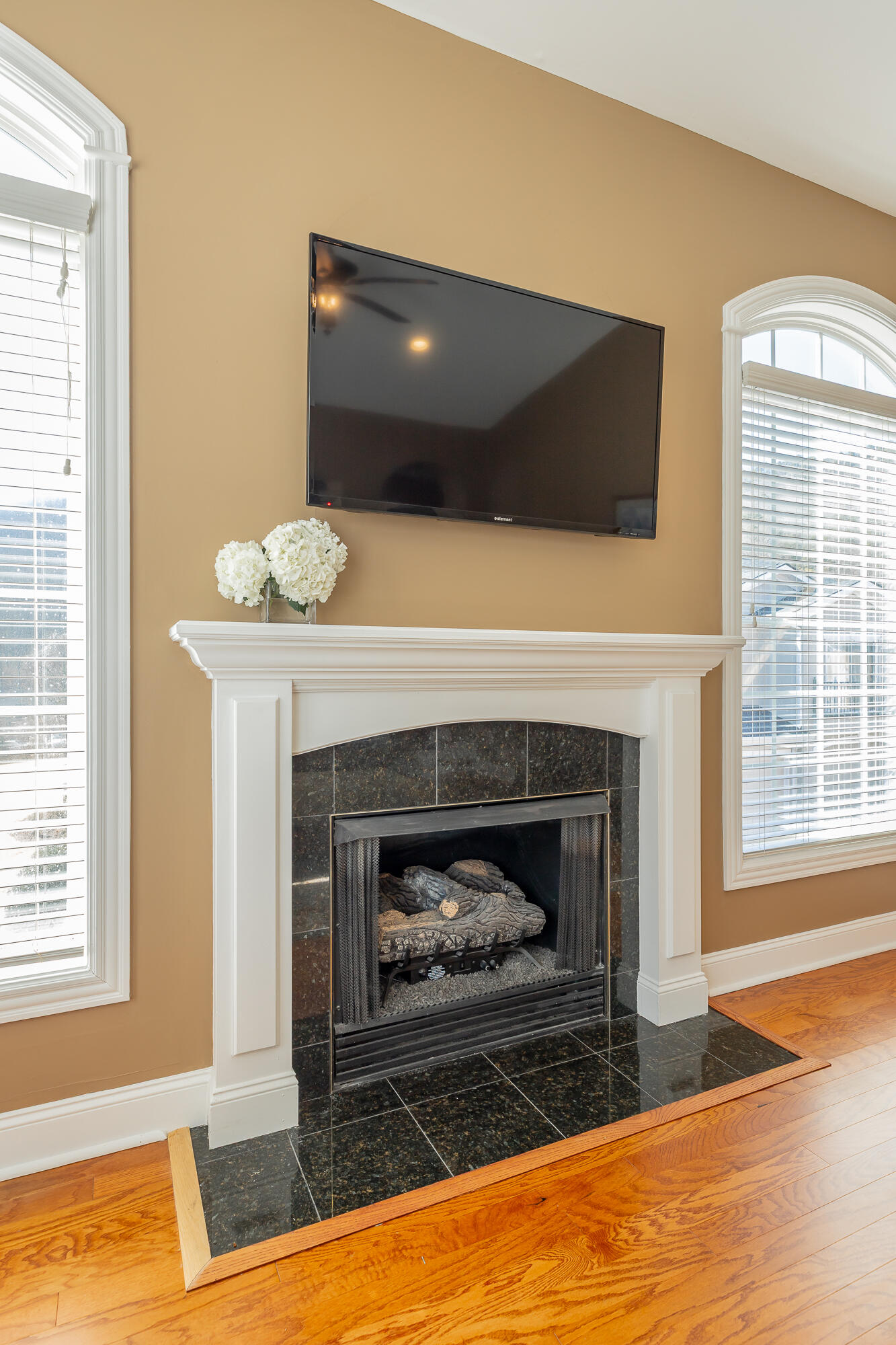 1109 Renaissance Court Chattanooga, TN 37419 - Photo 6 of 60 1109 Renaissance Court HD-30