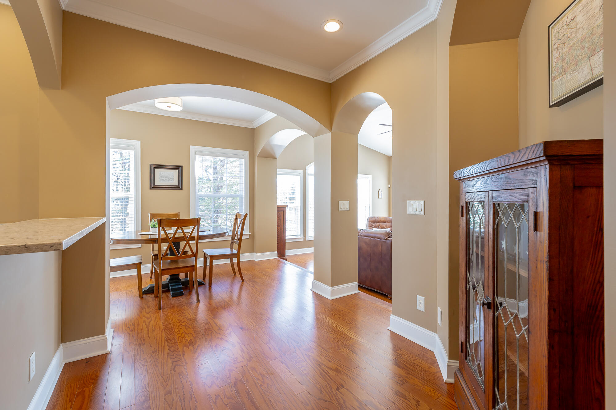 1109 Renaissance Court Chattanooga, TN 37419 - Photo 7 of 60 1109 Renaissance Court HD-18