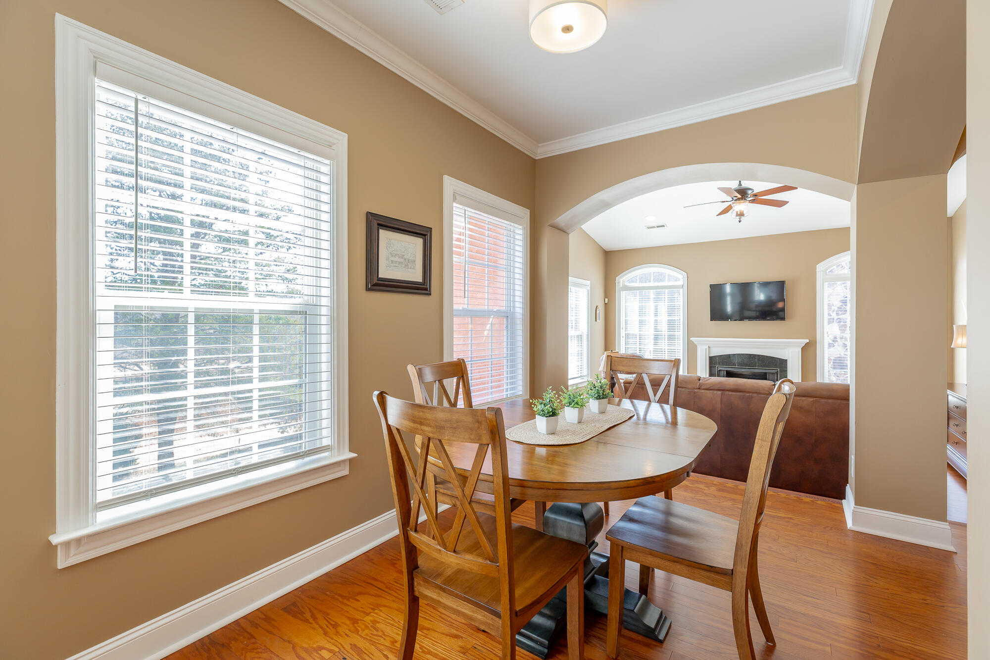 1109 Renaissance Court Chattanooga, TN 37419 - Photo 8 of 60 1109 Renaissance Court HD-22