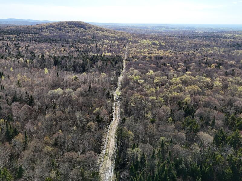 0 East Pinnacle Road West Malone, NY 12953 - Photo 5 of 21 Gallery Image 5