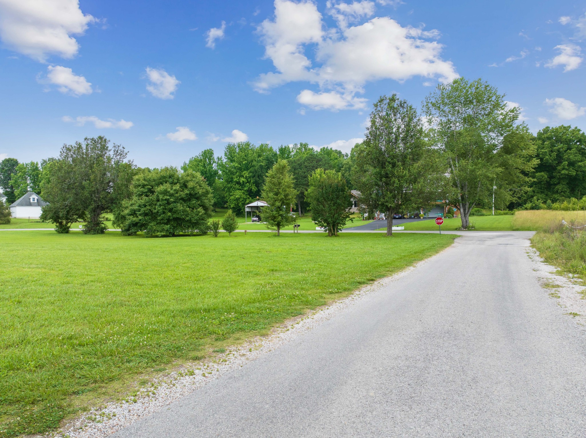 0 Ellen Lane Decaturville, TN 38329 - Photo 8 of 10 a view of a park with large trees