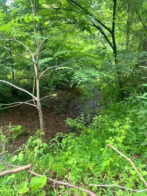 10989 Frasure-Helber Road Logan, OH 43138 - Photo 13 of 15 IMG_1431