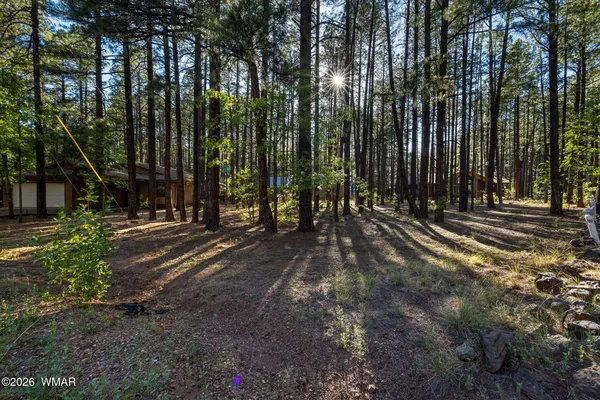 a view of outdoor space with deck and trees