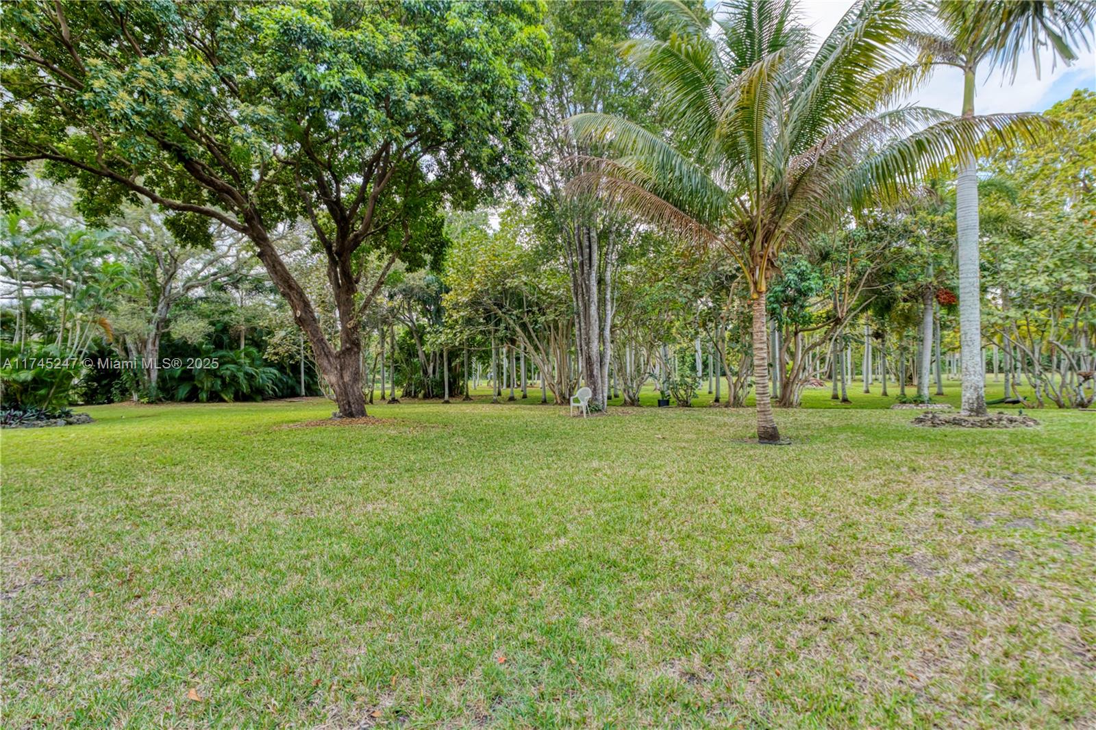 15101 Southwest 27th Street Davie, FL 33331 - Photo 49 of 100 a view of outdoor space with deck and trees