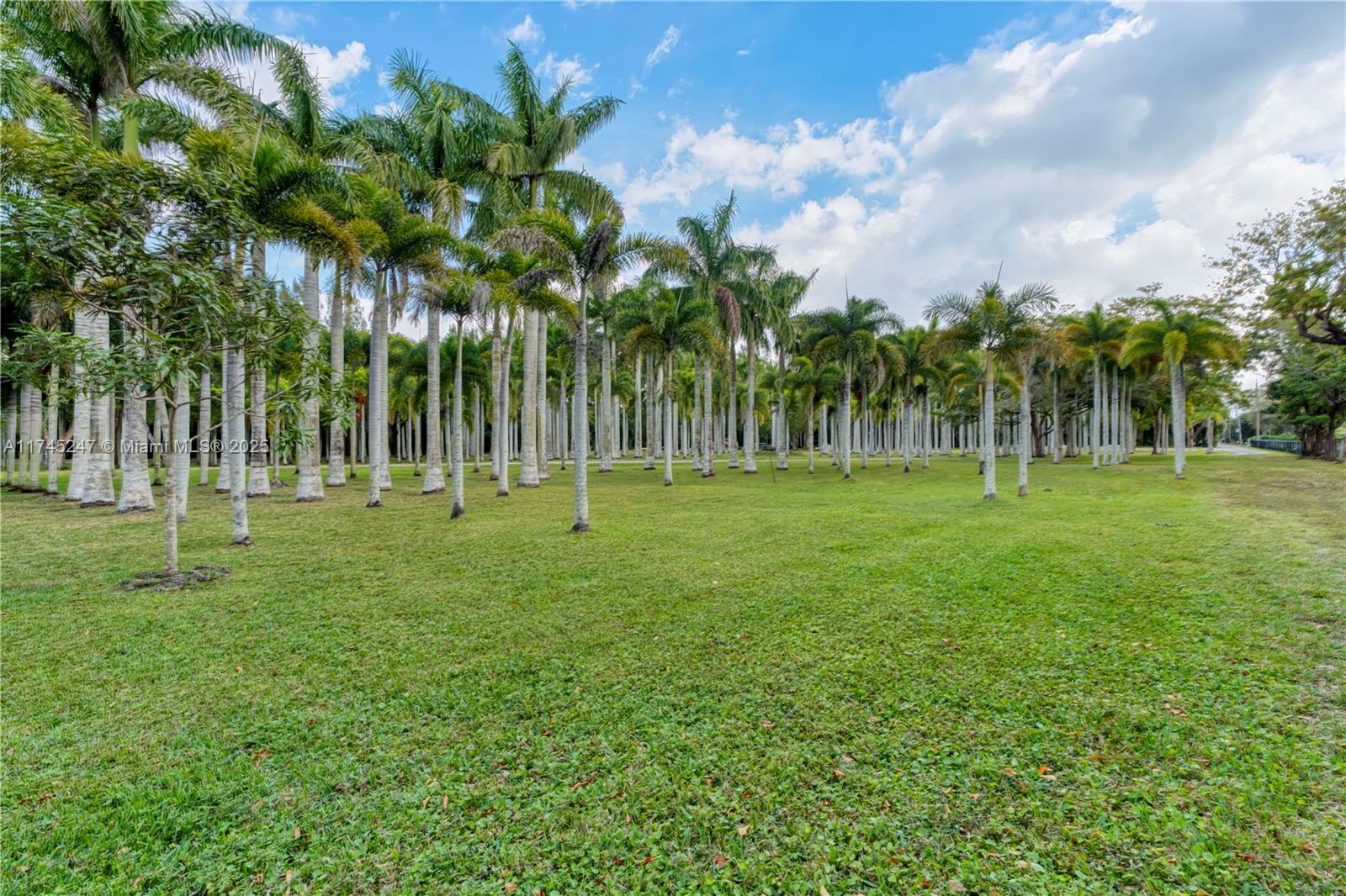 15101 Southwest 27th Street Davie, FL 33331 - Photo 55 of 100 a backyard of a house with lots of green space