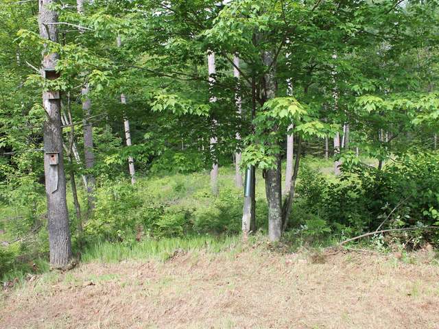 N10101 Sunny Point Road Tomahawk, WI 54487 - Photo 15 of 19 Gallery Image 15
