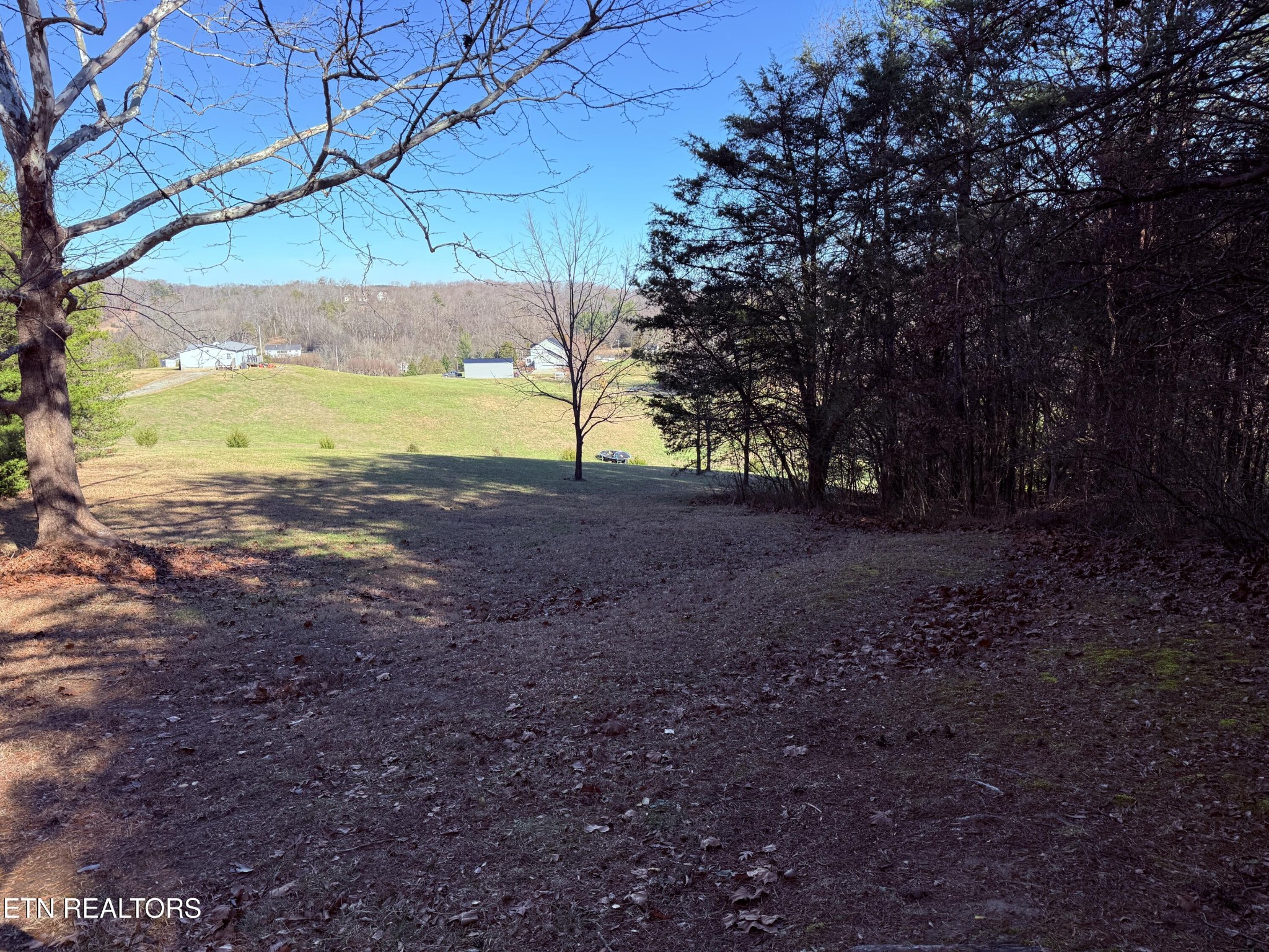 116 Brookstone Road Parrottsville, TN 37843 - Photo 24 of 31 a view of a backyard