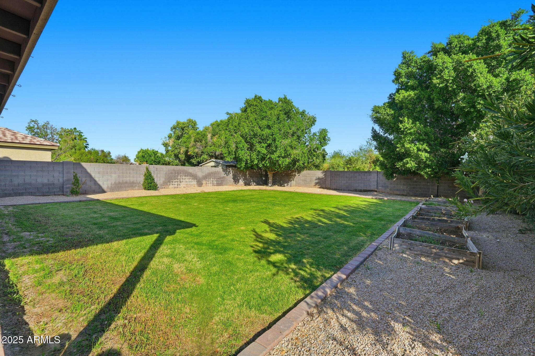 544 West Aviary Way Gilbert, AZ 85233 - Photo 35 of 45 a view of a yard with plants and a large tree