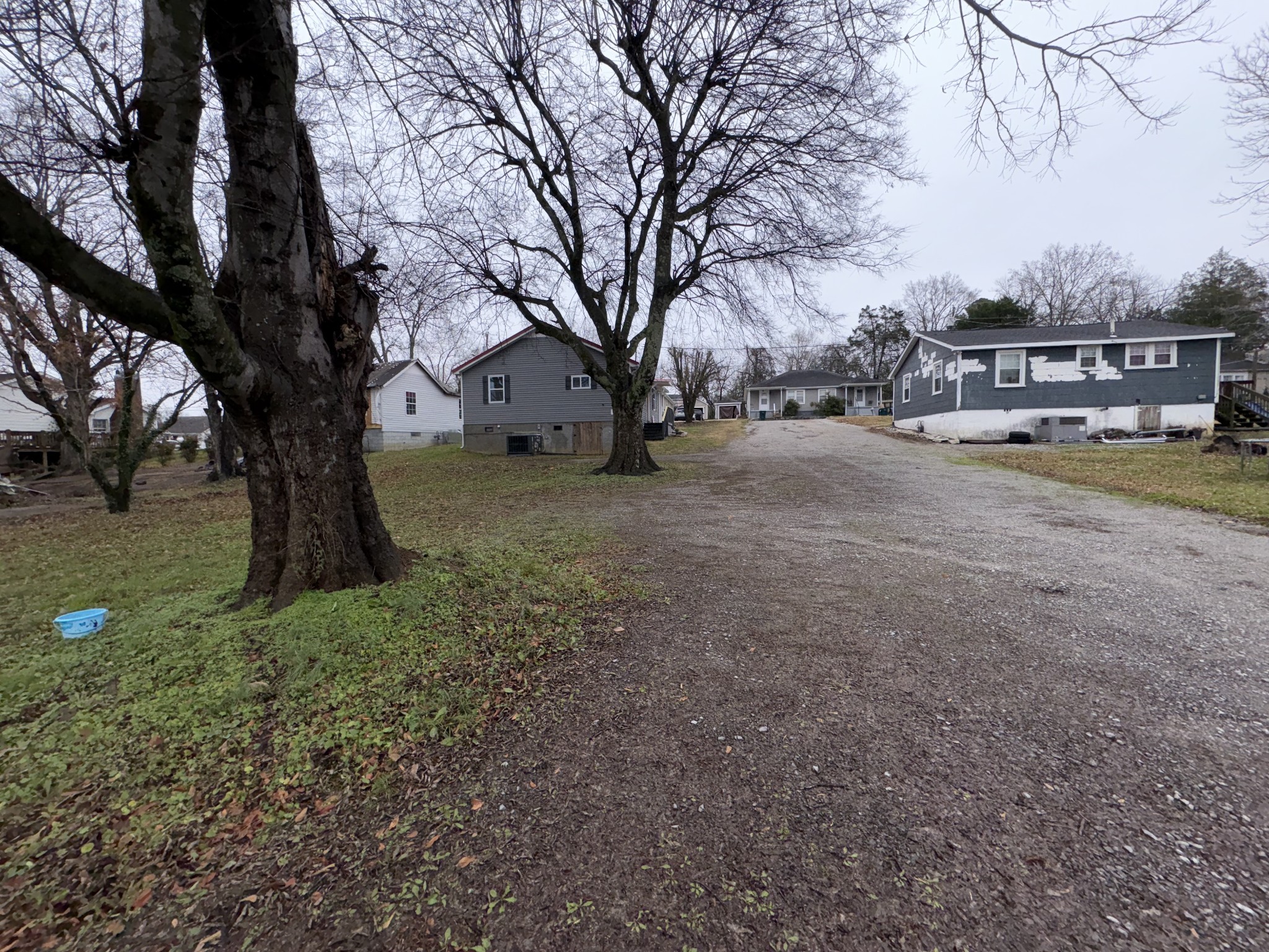 134 Elm Street Pulaski, TN 38478 - Photo 8 of 34 a view of a yard with a tree