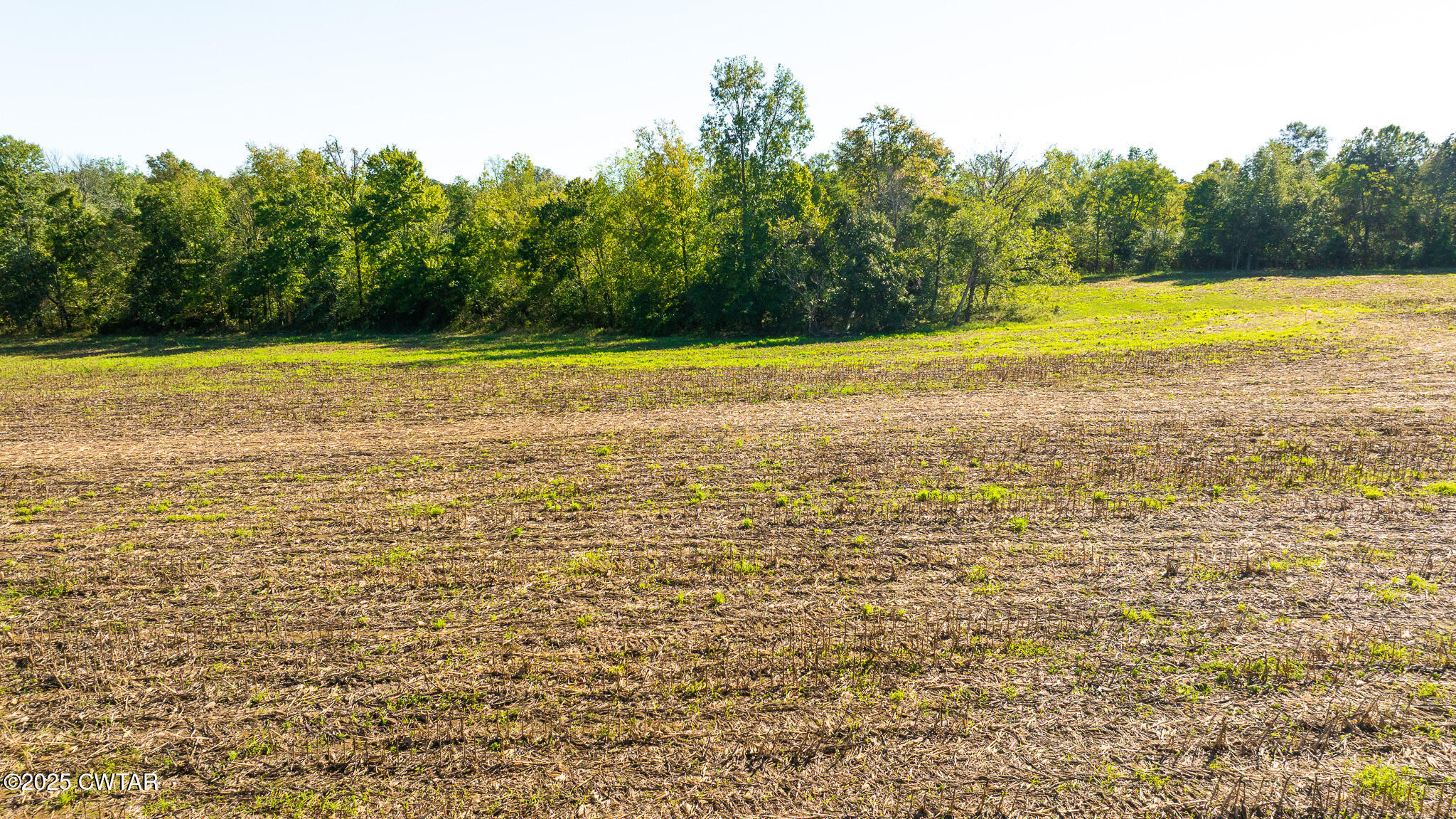 6 Hearn Road Greenfield, TN 38230 - Photo 10 of 17 DJI_20251009101652_0055_D
