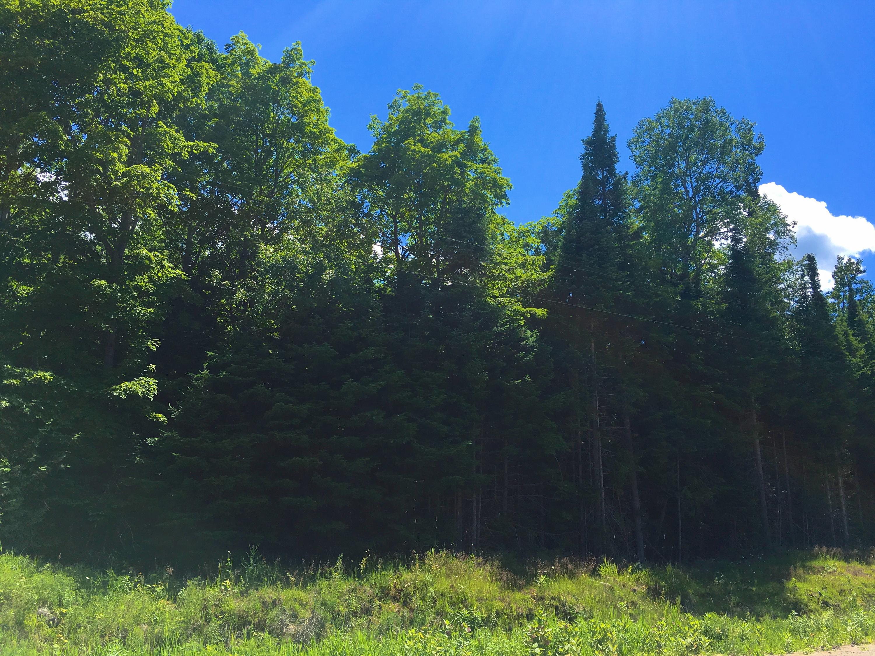 North Old Mackinaw Road Cheboygan, MI 49721 - Photo 3 of 12