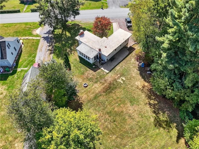 a view of a yard with plants