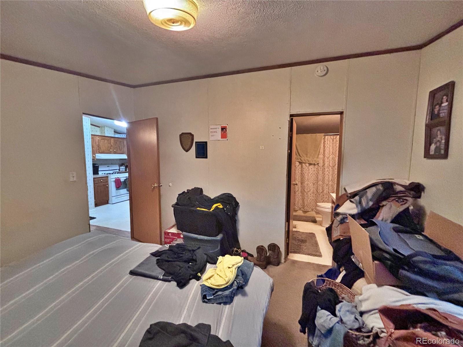 201 Pinto Street Golden, CO 80401 - Photo 12 of 22 a living room with furniture and a bed