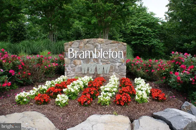 a view of a flower in a wooden sign