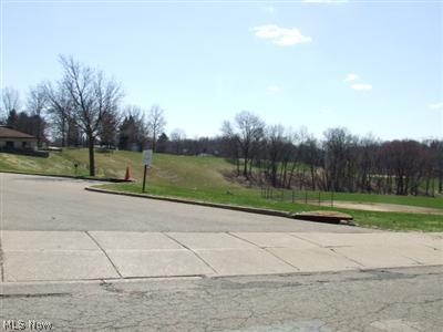 323 Perdue Avenue Akron, OH 44310 - Photo 11 of 11 Right across from Patterson Park sledding hill and baseball field!