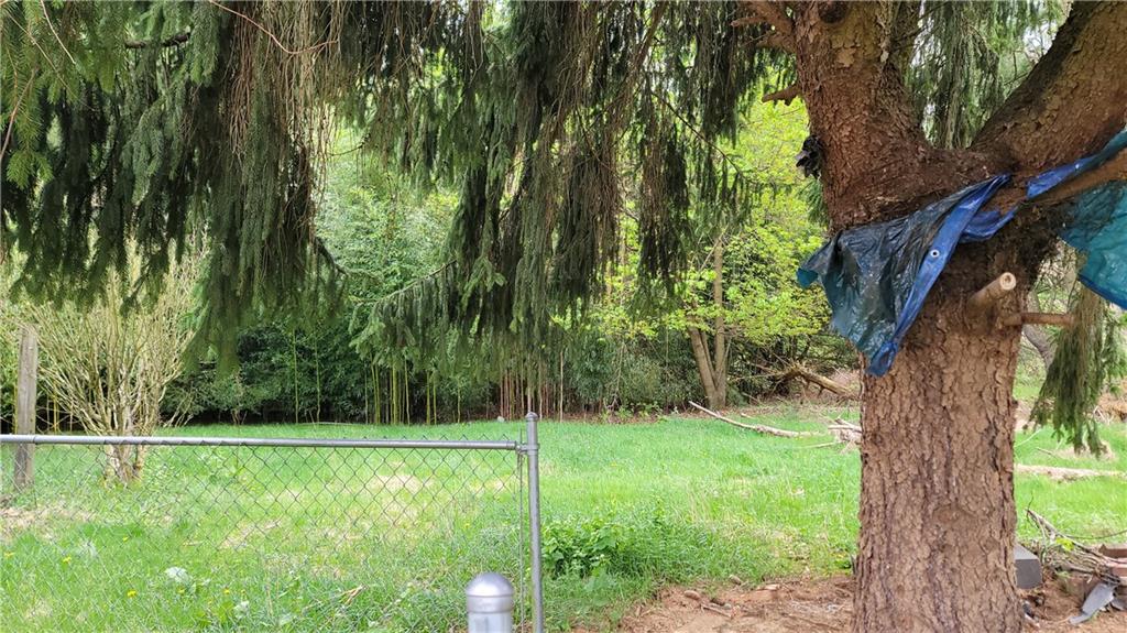 1314 George Street Coraopolis, PA 15108 - Photo 22 of 24 a view of a garden