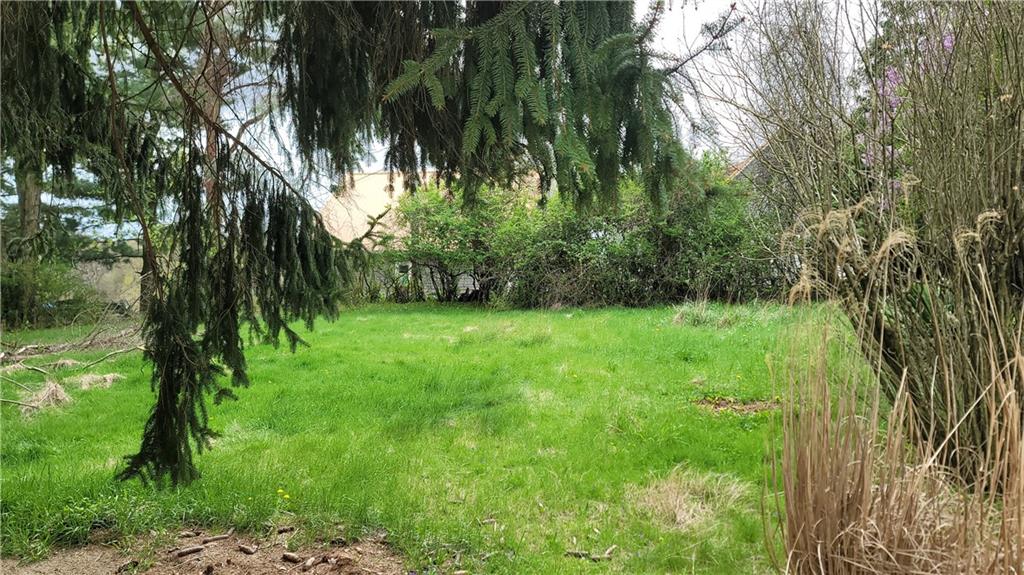 1314 George Street Coraopolis, PA 15108 - Photo 23 of 24 a view of lush green forest