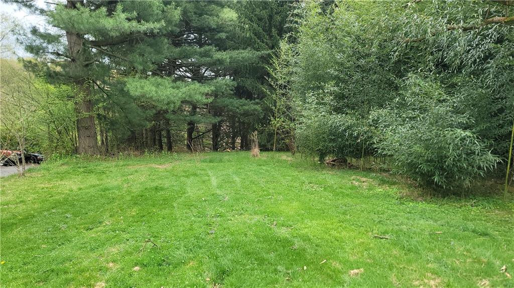 1314 George Street Coraopolis, PA 15108 - Photo 24 of 24 a green field with lots of trees in it