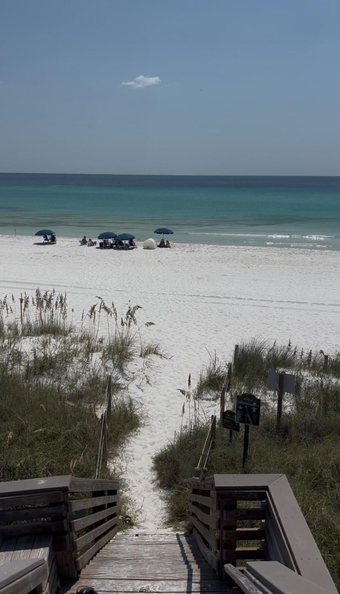 125 Seabreeze Trail Inlet Beach, FL 32461 - Photo 67 of 68 thumbnail_IMG_0843