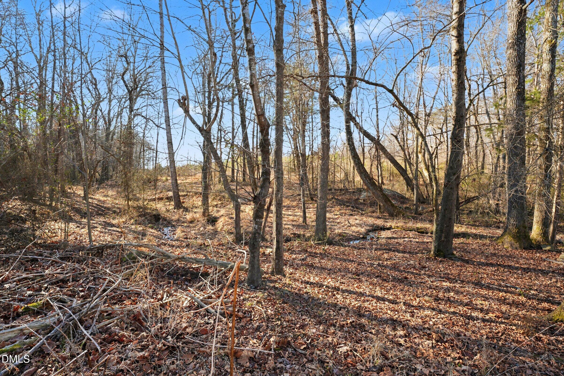 7001 Bobby Jean Road Liberty, NC 27298 - Photo 9 of 16 014_file_7270