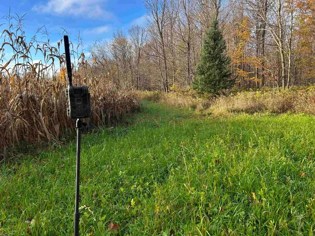 $699,000 | Killdeer Lane, Birnamwood, WI 54414