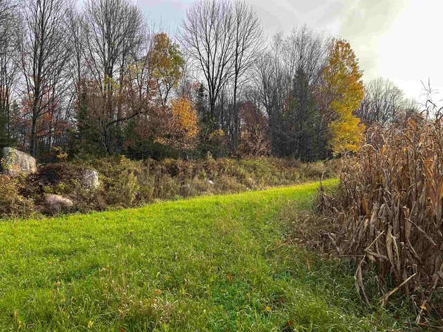 $699,000 | Killdeer Lane, Birnamwood, WI 54414