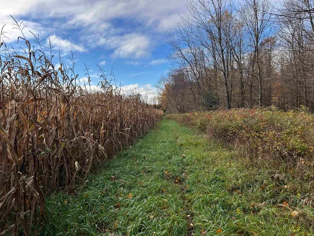 $699,000 | Killdeer Lane, Birnamwood, WI 54414