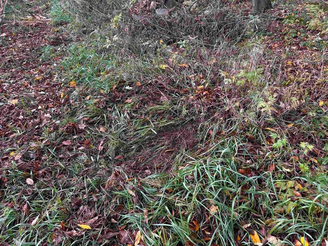 $699,000 | Killdeer Lane, Birnamwood, WI 54414