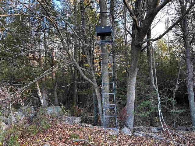 $699,000 | Killdeer Lane, Birnamwood, WI 54414