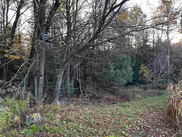 $699,000 | Killdeer Lane, Birnamwood, WI 54414