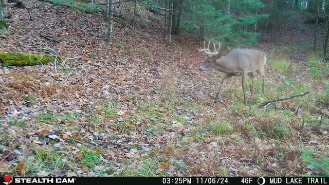 $699,000 | Killdeer Lane, Birnamwood, WI 54414