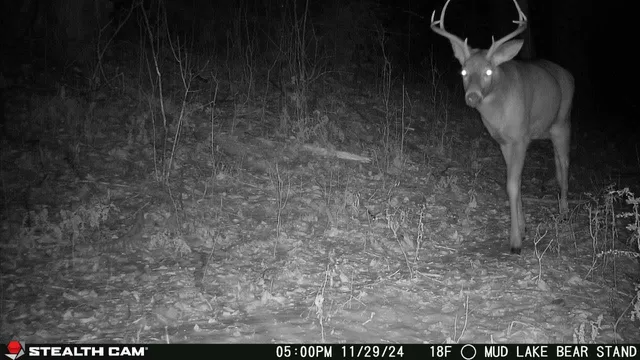 $699,000 | Killdeer Lane, Birnamwood, WI 54414