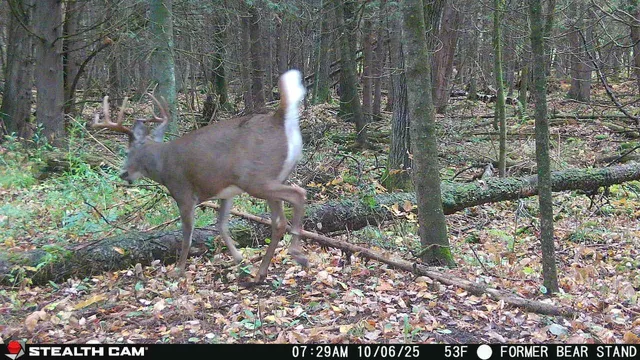 $699,000 | Killdeer Lane, Birnamwood, WI 54414