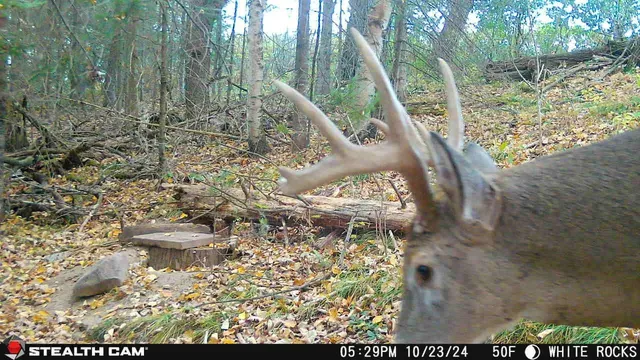 $699,000 | Killdeer Lane, Birnamwood, WI 54414