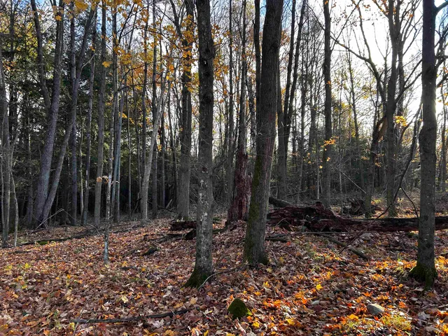 $699,000 | Killdeer Lane, Birnamwood, WI 54414