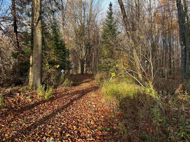 $699,000 | Killdeer Lane, Birnamwood, WI 54414