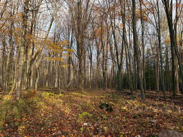 $699,000 | Killdeer Lane, Birnamwood, WI 54414