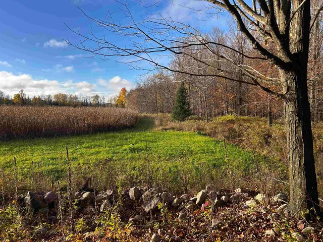 $699,000 | Killdeer Lane, Birnamwood, WI 54414