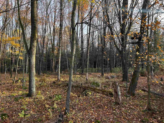 $699,000 | Killdeer Lane, Birnamwood, WI 54414