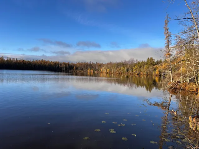 $699,000 | Killdeer Lane, Birnamwood, WI 54414