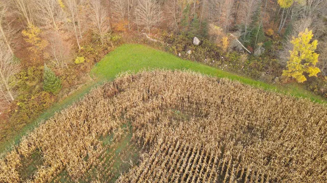 $699,000 | Killdeer Lane, Birnamwood, WI 54414